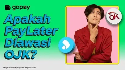 OJK PayLater