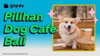 dog cafe bali