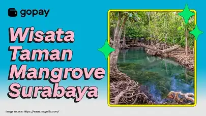 Taman mangrove Surabaya