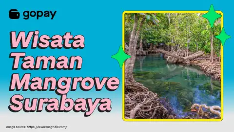 Taman mangrove Surabaya