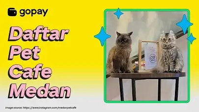 Pet cafe di Medan, cafe dog di Medan, cafe dog Medan, dog cafe Medan
