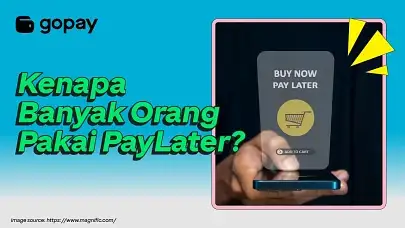 Alasan kenapa banyak orang pakai PayLater